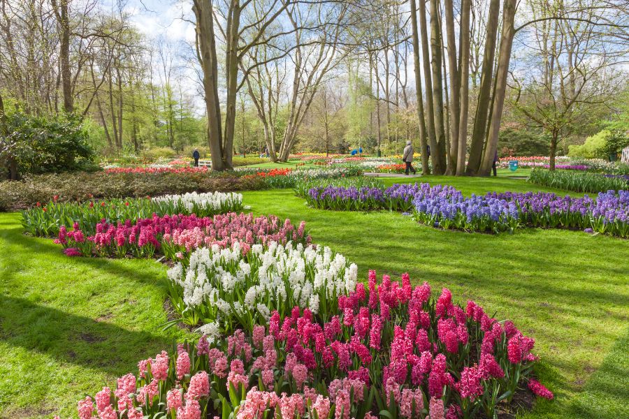 Parque de Keukenhof, Rotterdam